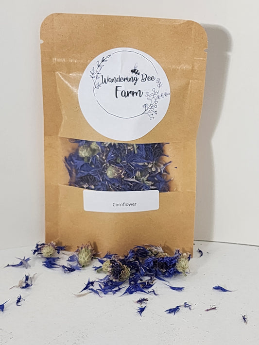 Dried Cornflower Flower