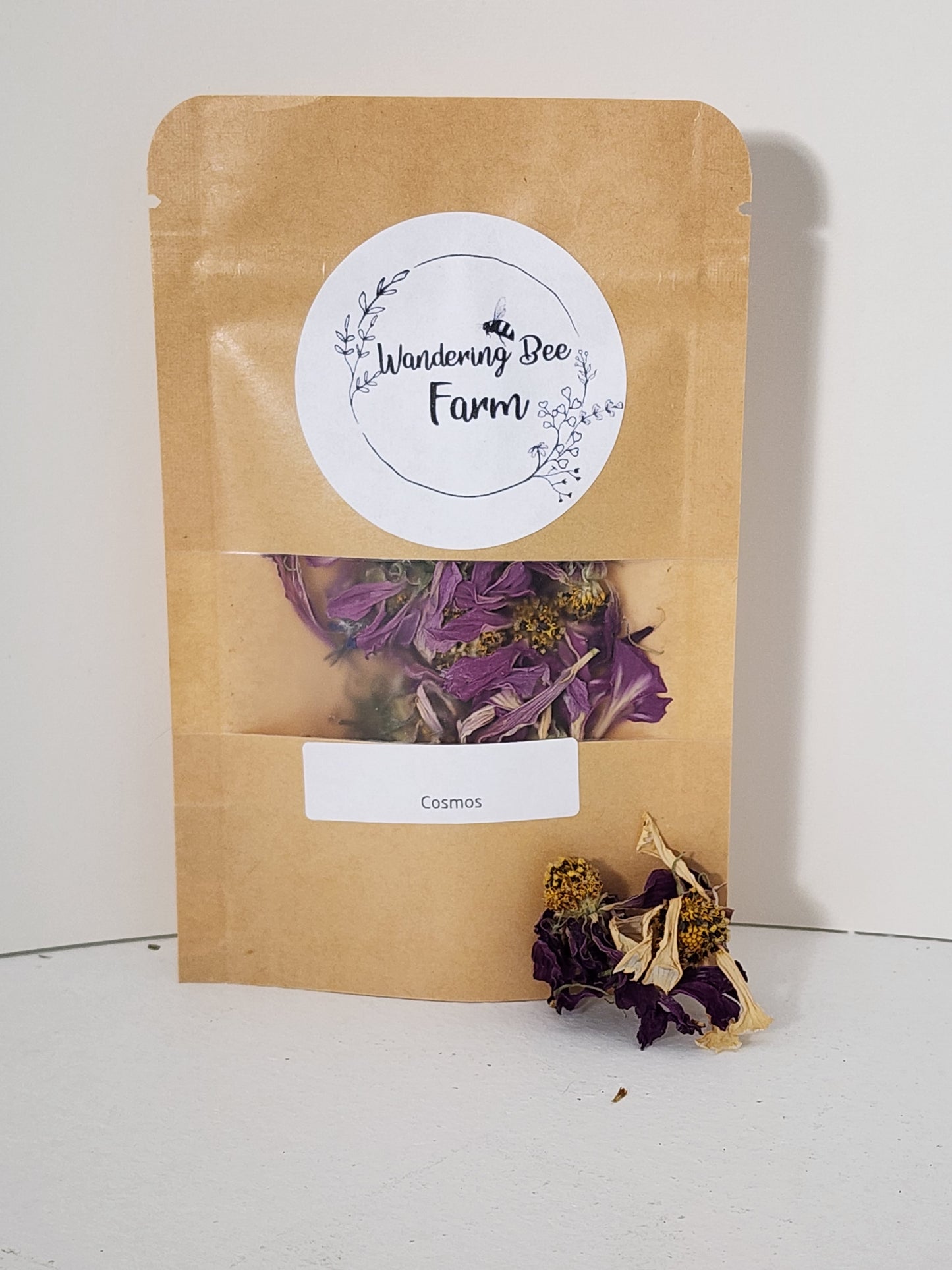 Dried Cosmos Flower