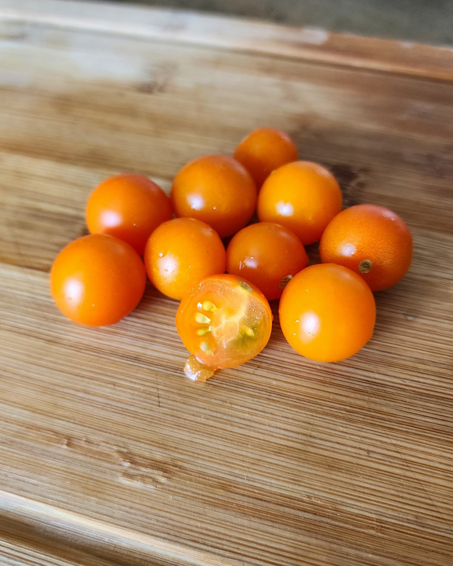 Sungold Cherry Tomato