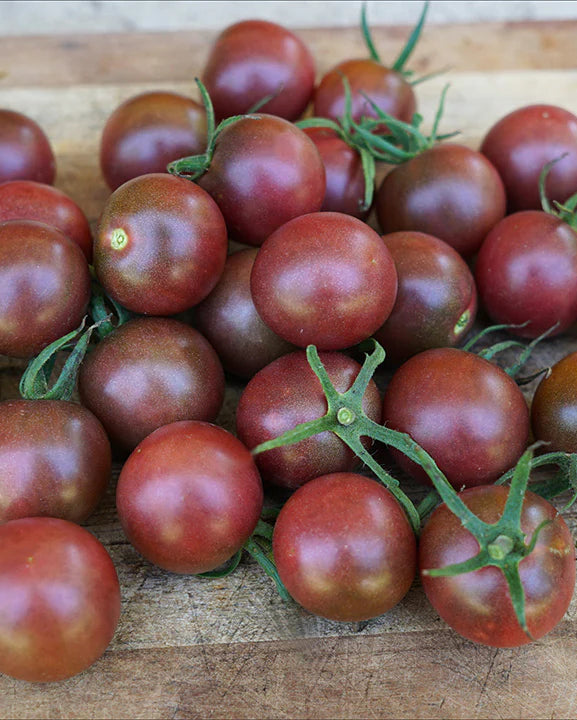 Black Cherry Tomato