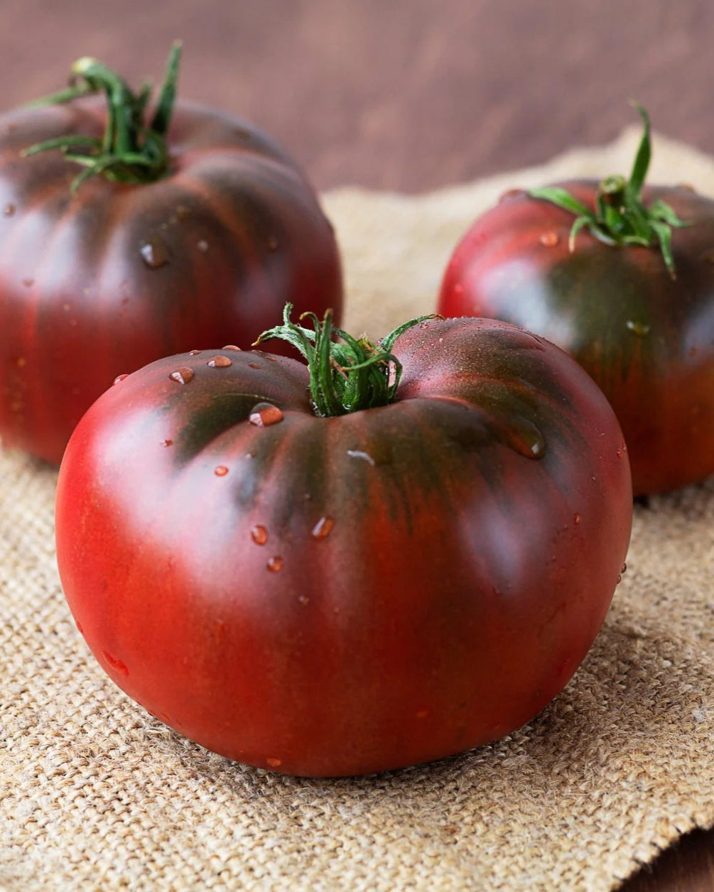 Black Brandywine Tomato