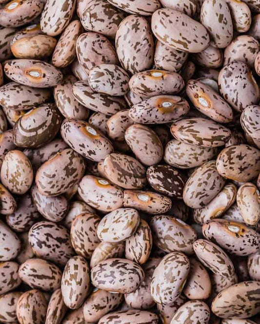 Pinto Beans