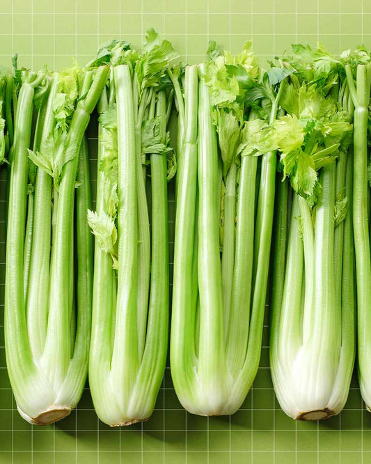 Merengo Celery