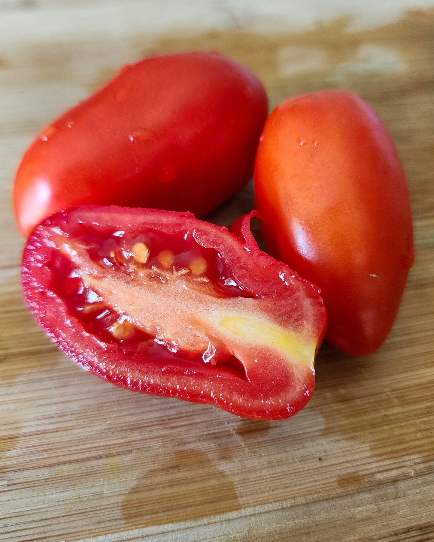 Roma Tomato